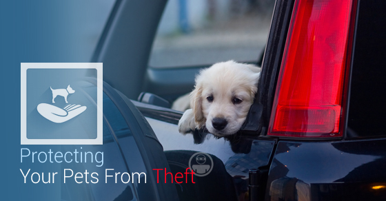 Protecting Your Pets From Theft