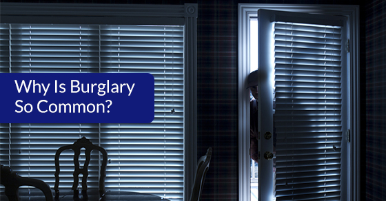 Why Is Burglary So Common?