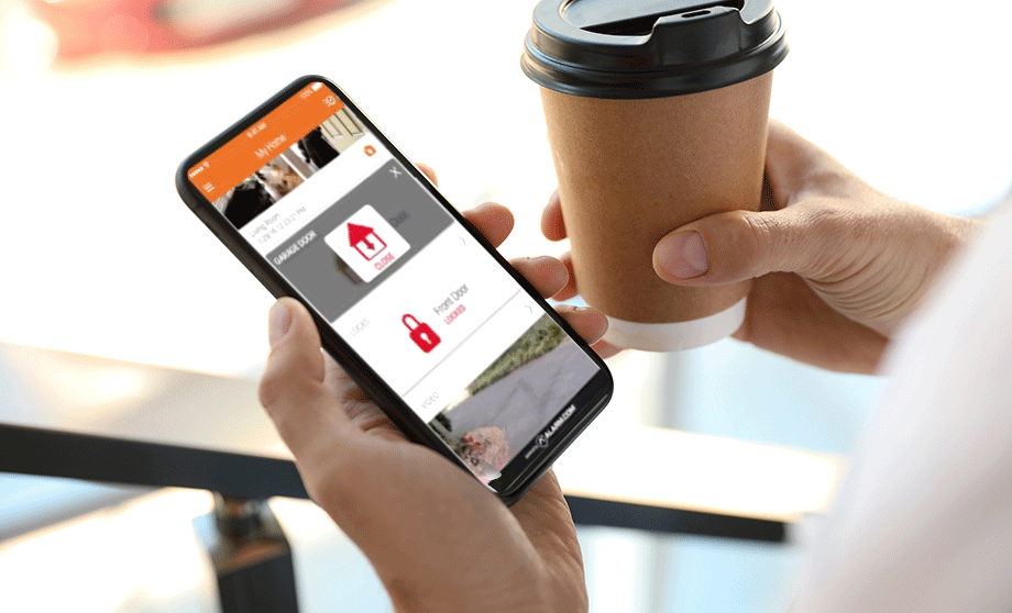 Video Alerts