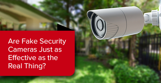 Are fake security cameras just as effective as the real thing?