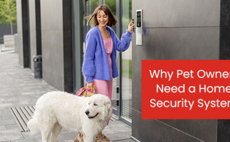 Why pet owners need a home security system