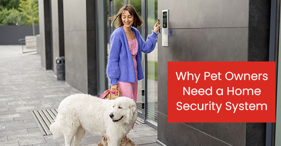 Why pet owners need a home security system